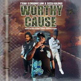 Album cover of Worthy Cause