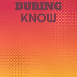 Album cover of During Know