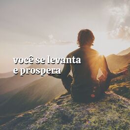 Album cover of Você Se Levanta e Prospera