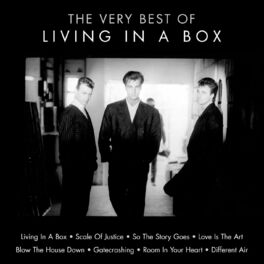 Album cover of The Very Best of Living in a Box