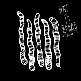 Album cover of Don't Fit Remixes
