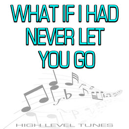 Album cover of What If I Had Never Let You Go