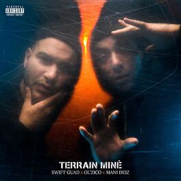 Album cover of Terrain miné