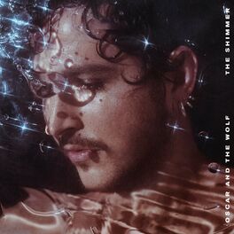 Album cover of The Shimmer