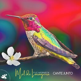Album cover of Mel de Laranjeira - Cante Junto