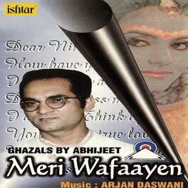 Album cover of Meri Wafaayen