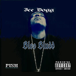 Album cover of Bloo Bludd