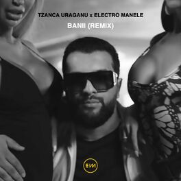 Album cover of Banii (Remix)