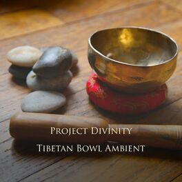 Album cover of Tibetan Bowl Ambient