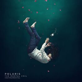 Album cover of The Mortal Coil (Instrumental)