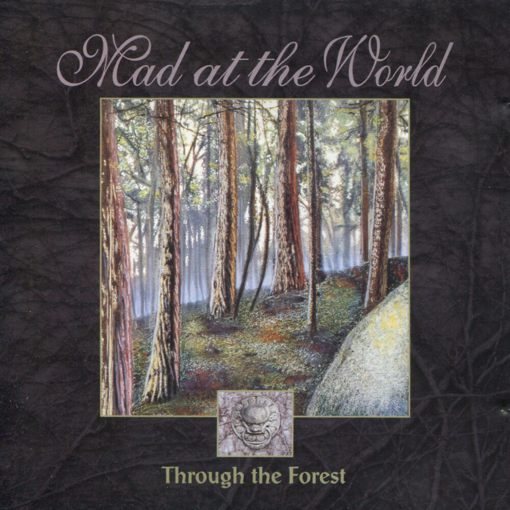 Through worlds. Through the Worlds. Молчанов Волшебный лес обложка альбома. The Forest CD Art Cover.