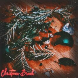 Album cover of Christmas Break