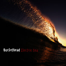 Album cover of Electric Sea