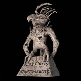 Album cover of Night Parrots