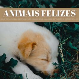Album cover of Animais Felizes: Sons Da Natureza Serenos Para Ajudar Seus Animais De Estimação A Dormir Melhor
