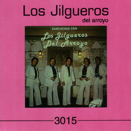 Album cover of Rancheras con Los Jilgueros del Arroyo