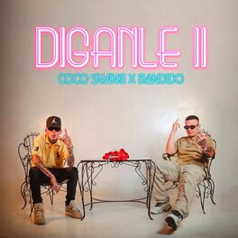 Album cover of DIGANLE II