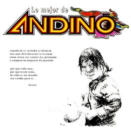 Album cover of Lo Mejor De Andino