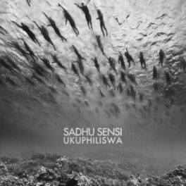 Album cover of Ukuphiliswa