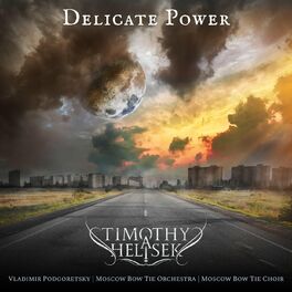 Album cover of Delicate Power