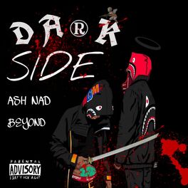 Album cover of Dark Side