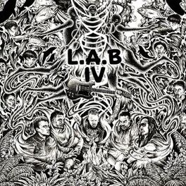 Album cover of Why Oh Why