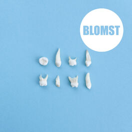 Album cover of Blomst