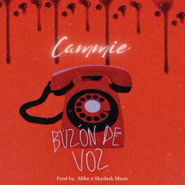 Album cover of Buzón de Voz