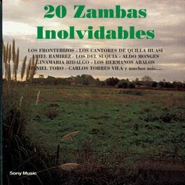 Album picture of 20 Zambas Inolvidables