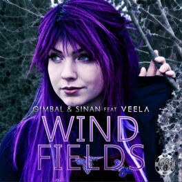Album cover of Windfields