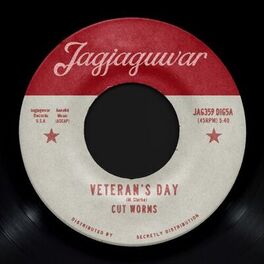Album cover of Veteran's Day