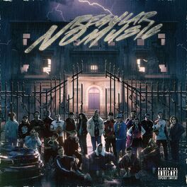 Album cover of NO REGULAR MUSIC