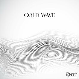 Album cover of Cold Wave