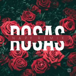 Album cover of Rosas (Oreja de Van Gogh)