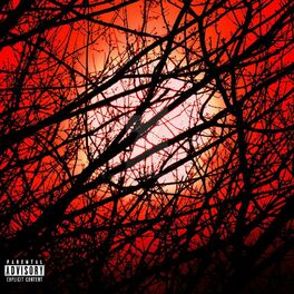 Album cover of Red Skies (feat. Coca Kash)