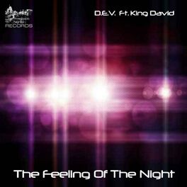 Album cover of The Feeling Of The Night