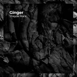 Album picture of Ginger