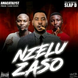 Album cover of Nzeluzaso