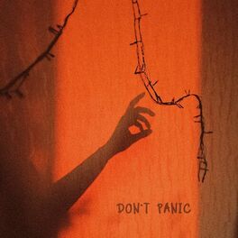 Album cover of DON'T PANIC