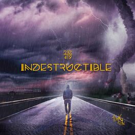 Album cover of Indestructible