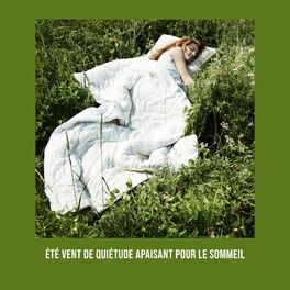 Album cover of Été vent de quiétude apaisant pour le sommeil: Sommeil profond et calme, Vaincre les troubles du sommeil, Nuits chaudes et fais de