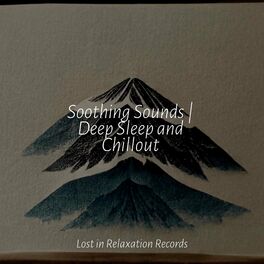 Album cover of Soothing Sounds | Deep Sleep and Chillout