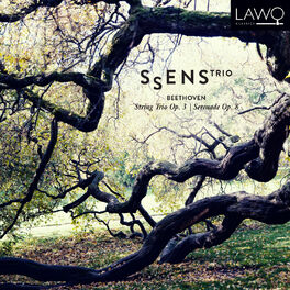 Album picture of Beethoven: String Trio, Op. 3 | Serenade, Op. 8