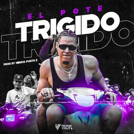 Album cover of TRIGIDO