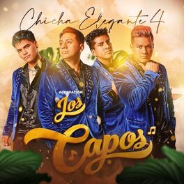 Album cover of Chicha Elegante 4