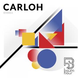 Album cover of Diddle