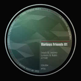 Album cover of Various Friends 01