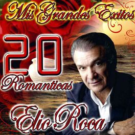 Album cover of Mis Grandes Exitos 20 Romanticas