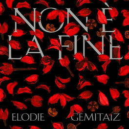Album cover of Non È La Fine