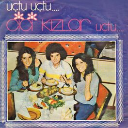 Album cover of Uçtu Uçtu